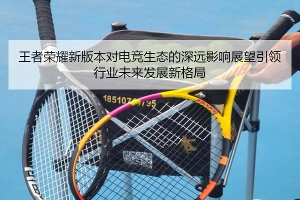 wang-zhe-rong-yao-xin-ban-ben-dui-dian-jing-sheng-tai-de-shen-yuan-ying-xiang-zhan-wang-yin-ling-hang-ye-wei-lai-fa-2-231.jpg