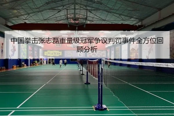 中国拳击张志磊重量级冠军争议判罚事件全方位回顾分析
